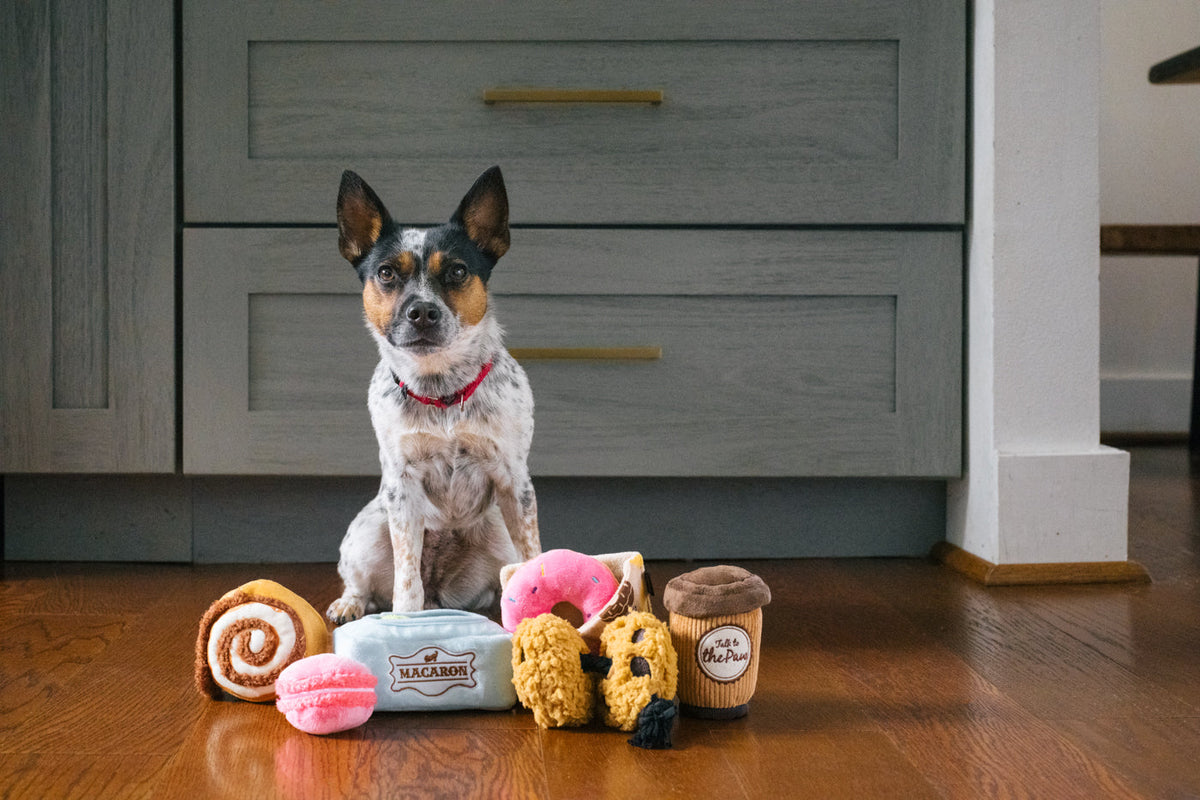 Pup Cup Cafe Collection
